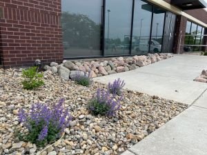 6 Ways to Bring Life to your Landscape for Summer